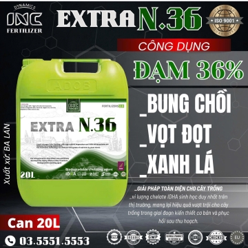 EXTRA N.36