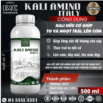 Kali Amino Italy
