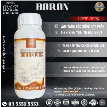 Phân Bón Vi Lượng BORON PLUS – Tăng Sức Sống Hạt Phấn, Định Hình Trái, Giảm Rụng Hoa Trái Non – Chai 500ml